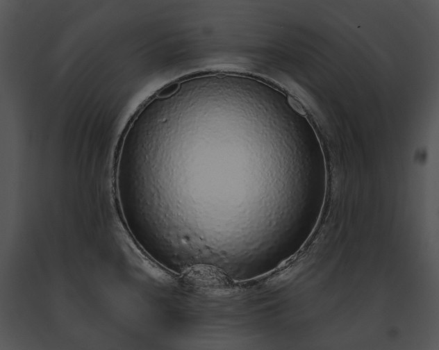 X0000091681240200708301513