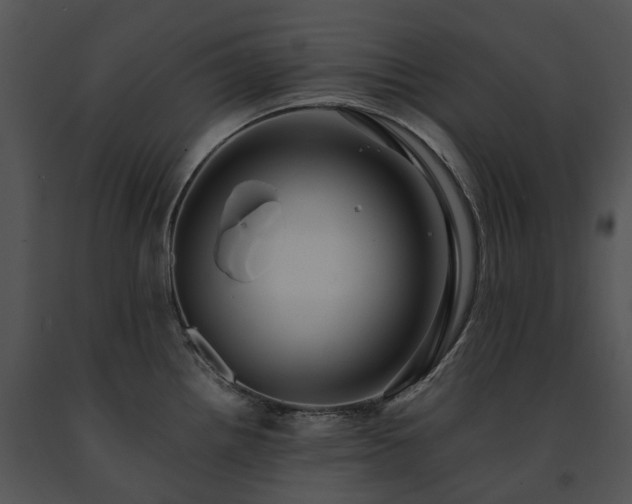 X0000091681242200708301513