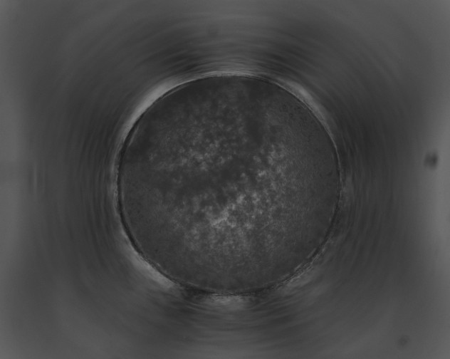 X0000091681243200708301513