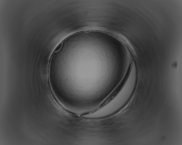 X0000091681244200708301513