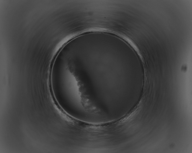X0000091681245200708301513