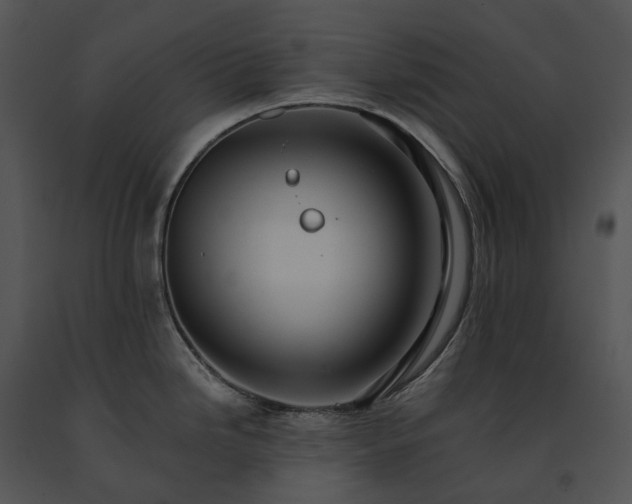 X0000091681246200708301513