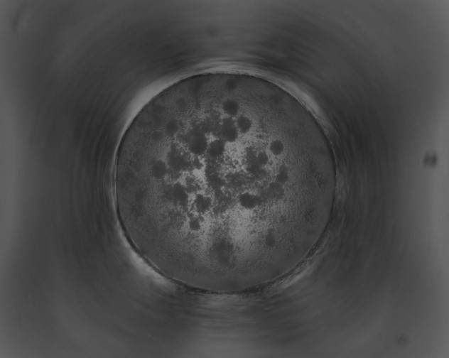 X0000091681247200708301514