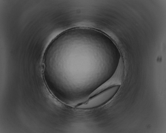X0000091681248200708301514
