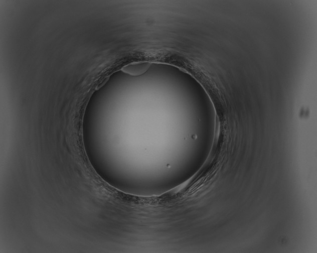 X0000091681249200708301513