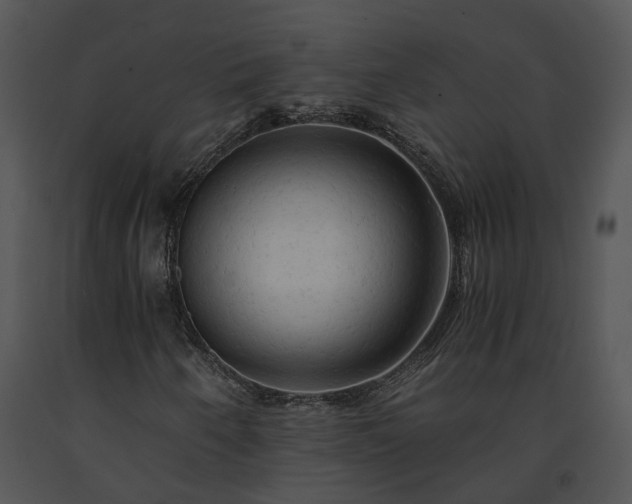 X0000091681250200708301513