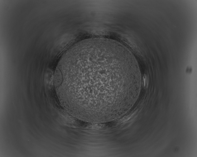 X0000091681251200708301513