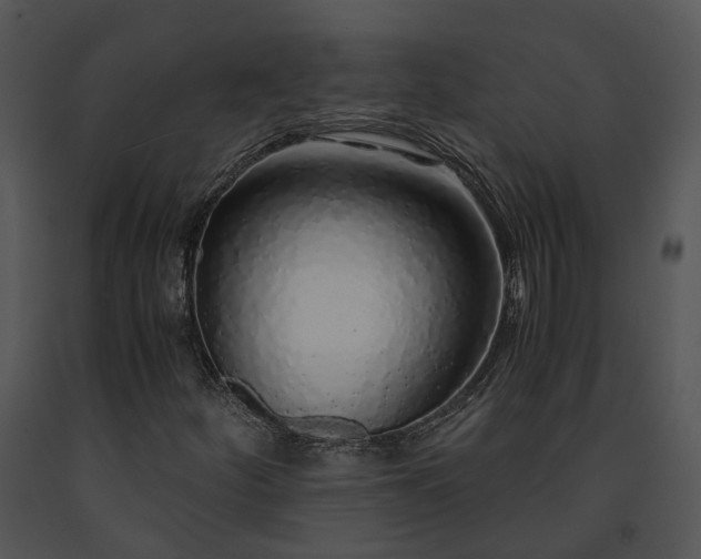 X0000091681252200708301513