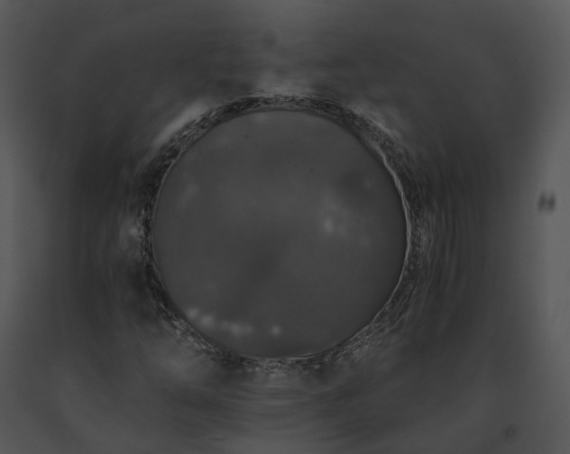 X0000091681254200708301513