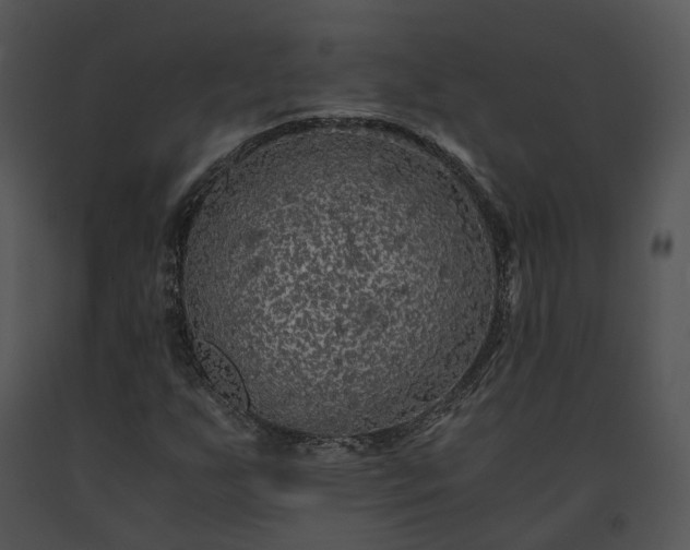 X0000091681255200708301512