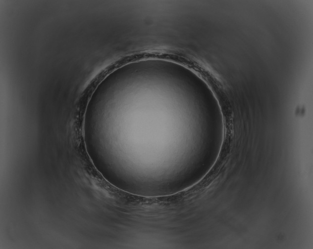 X0000091681256200708301512