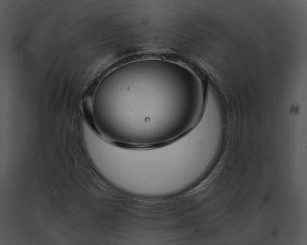 X0000091681257200708301512