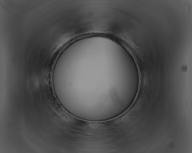X0000091681258200708301512