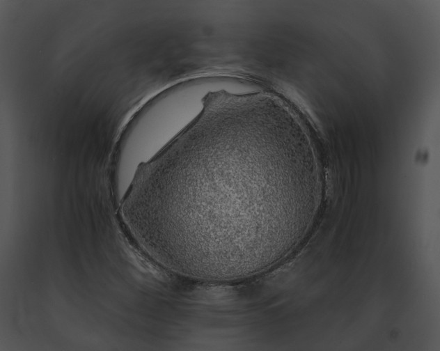 X0000091681260200708301512