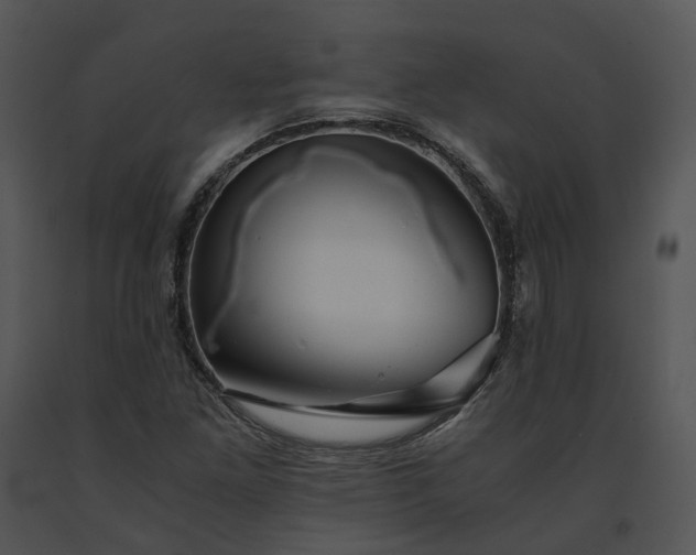 X0000091681261200708301512