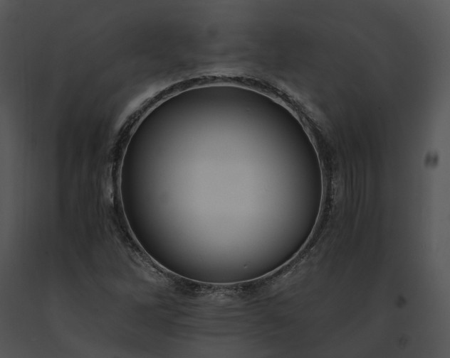 X0000091681262200708301512