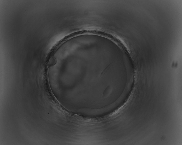 X0000091681263200708301512