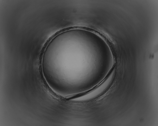 X0000091681264200708301512