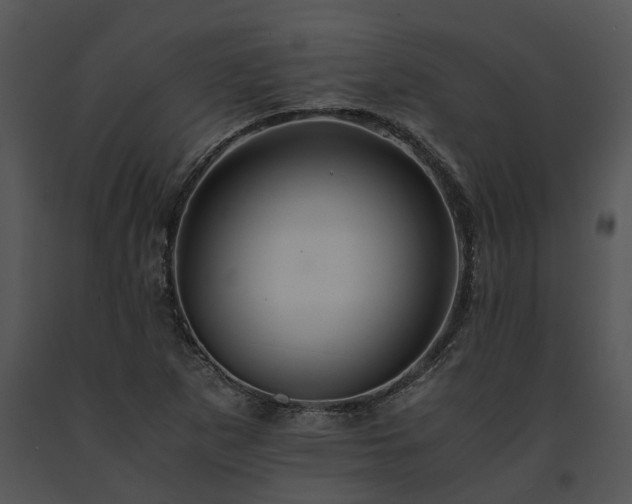 X0000091681265200708301512