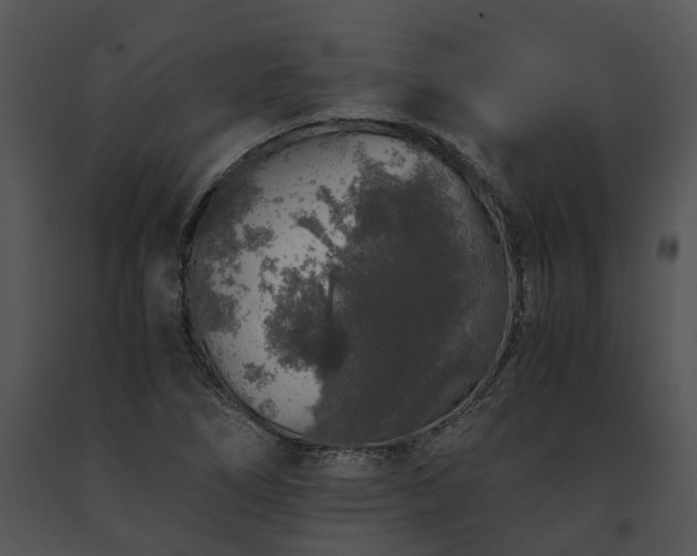 X0000091681266200708301512