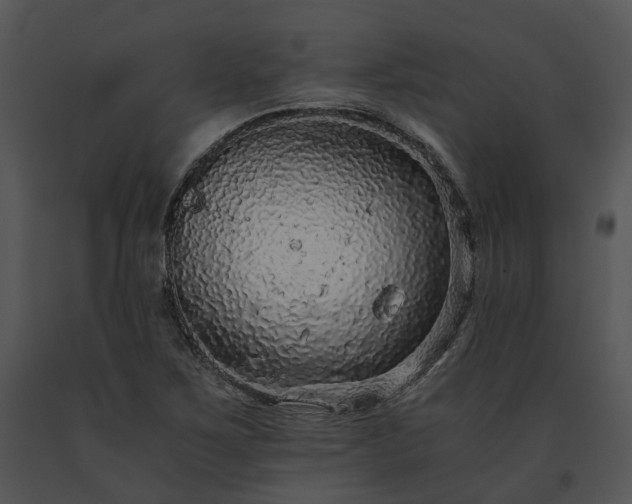 X0000091681267200708301512