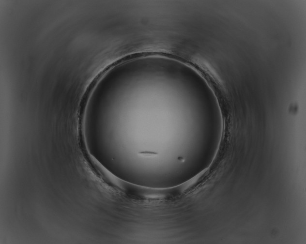 X0000091681268200708301512
