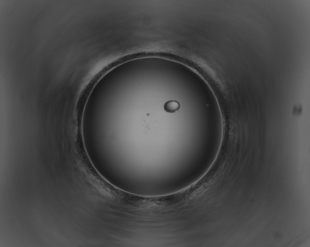 X0000091681270200708301512