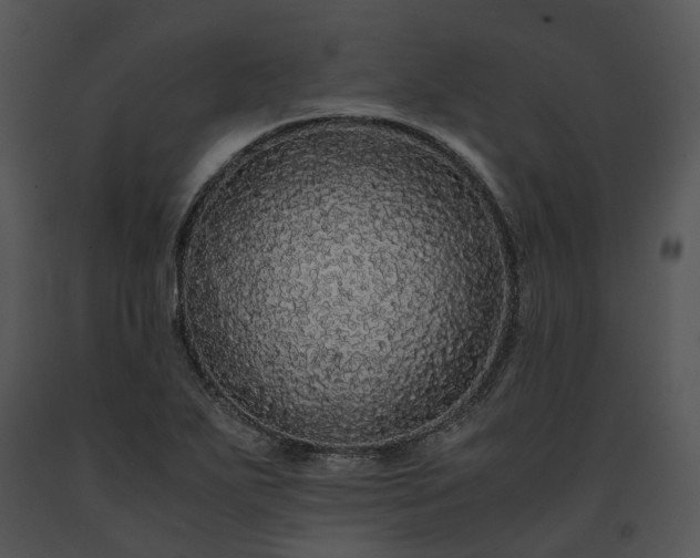 X0000091681271200708301512