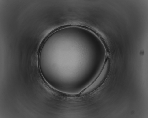 X0000091681272200708301512