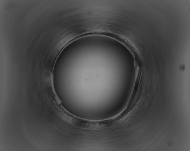 X0000091681273200708301512