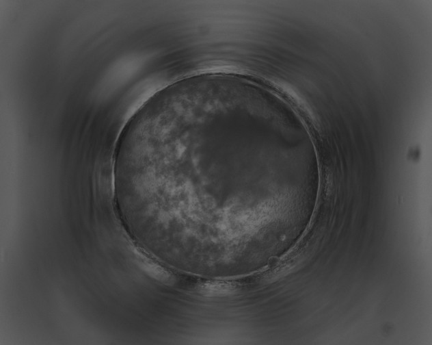 X0000091681274200708301512