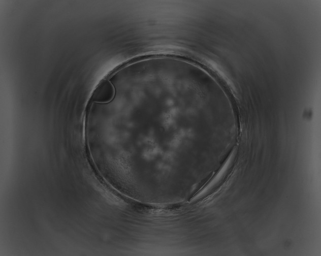 X0000091681275200708301512