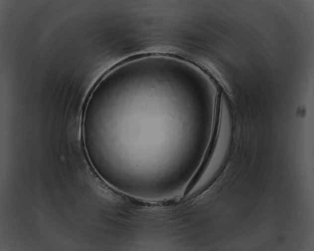 X0000091681276200708301512