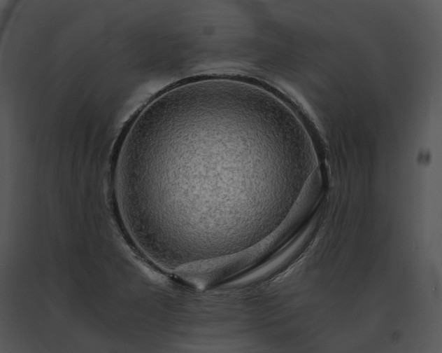 X0000091681277200708301512