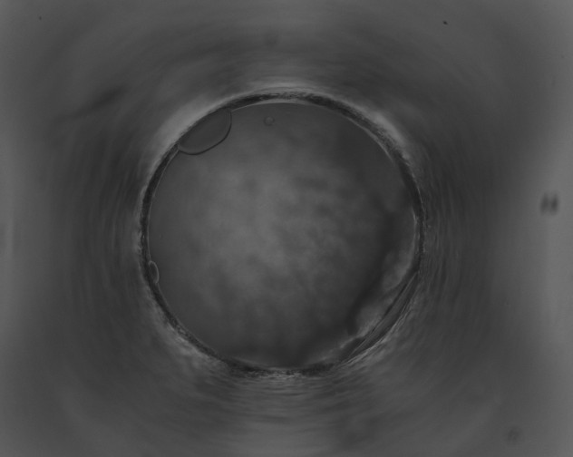 X0000091681279200708301512