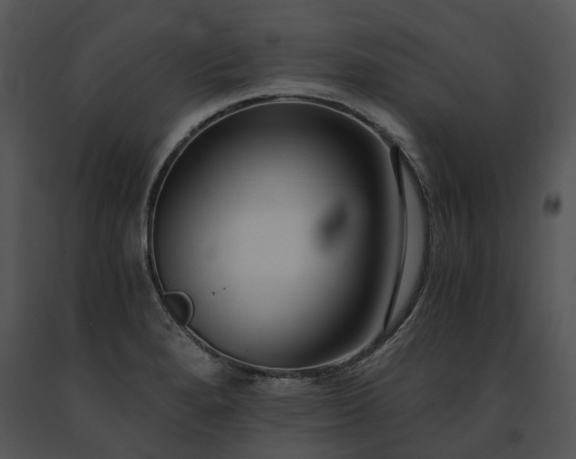 X0000091681280200708301512