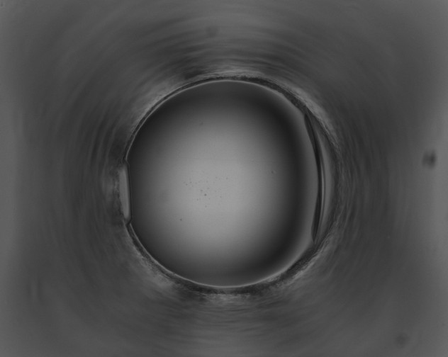 X0000091681281200708301512