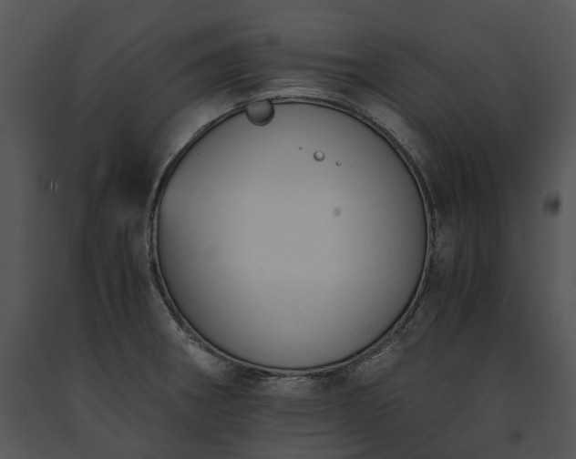 X0000091681282200708301512