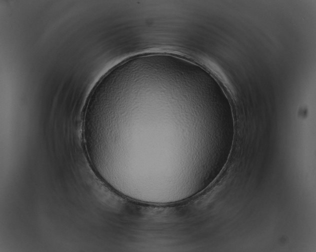 X0000091681284200708301512