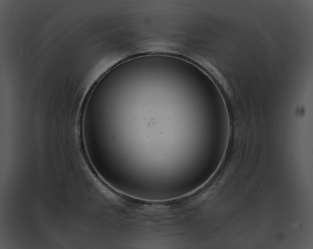 X0000091681285200708301512