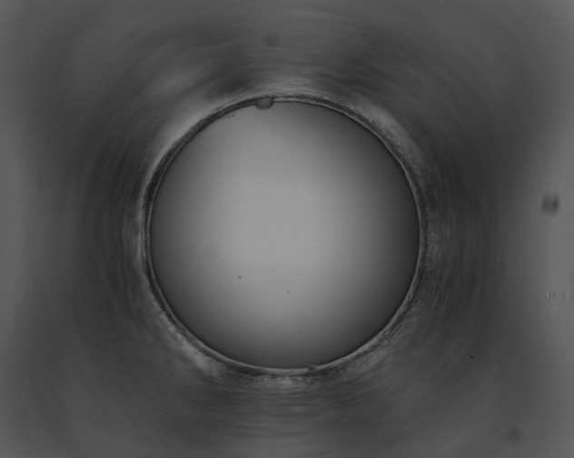 X0000091681286200708301512