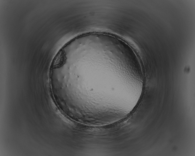 X0000091681287200708301512