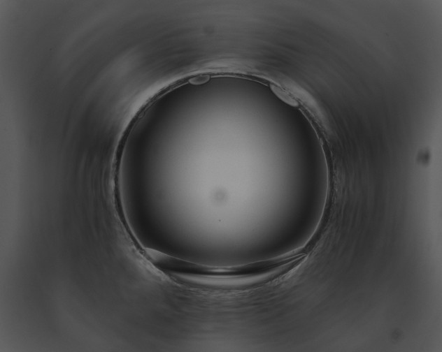 X0000091681288200708301512