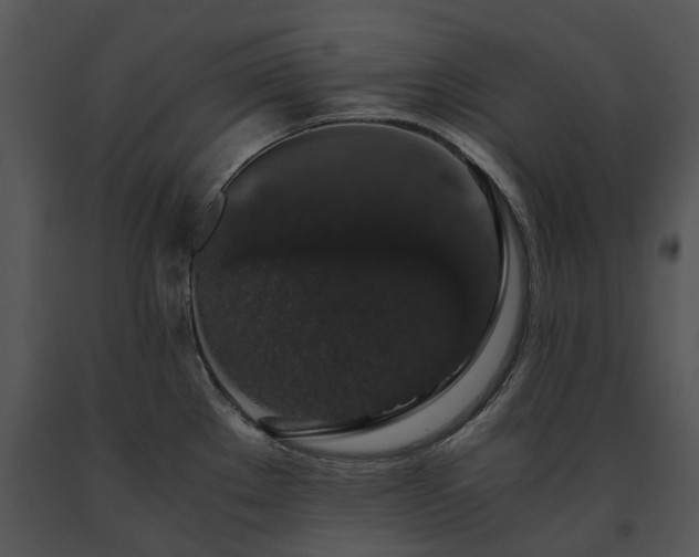 X0000091681289200708301512