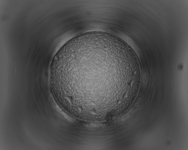 X0000091681290200708301512