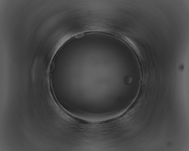 X0000091681291200708301512