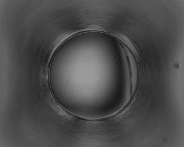 X0000091681292200708301512