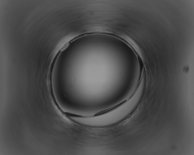 X0000091681293200708301512