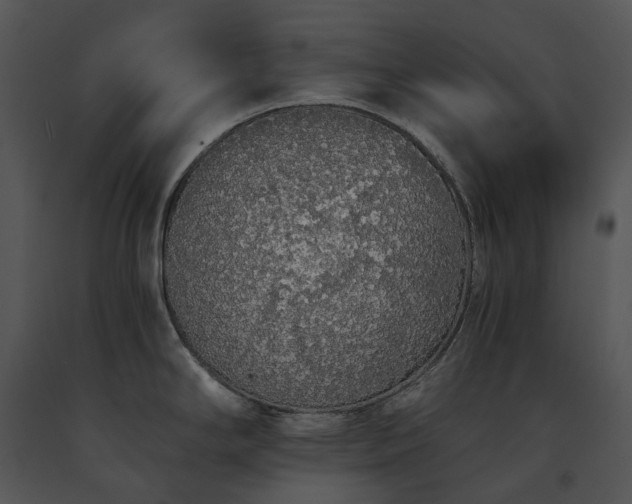 X0000091681294200708301512