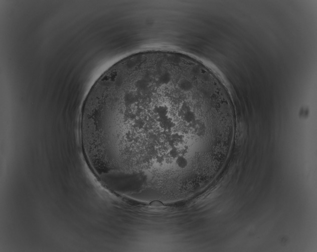 X0000091681295200708301512